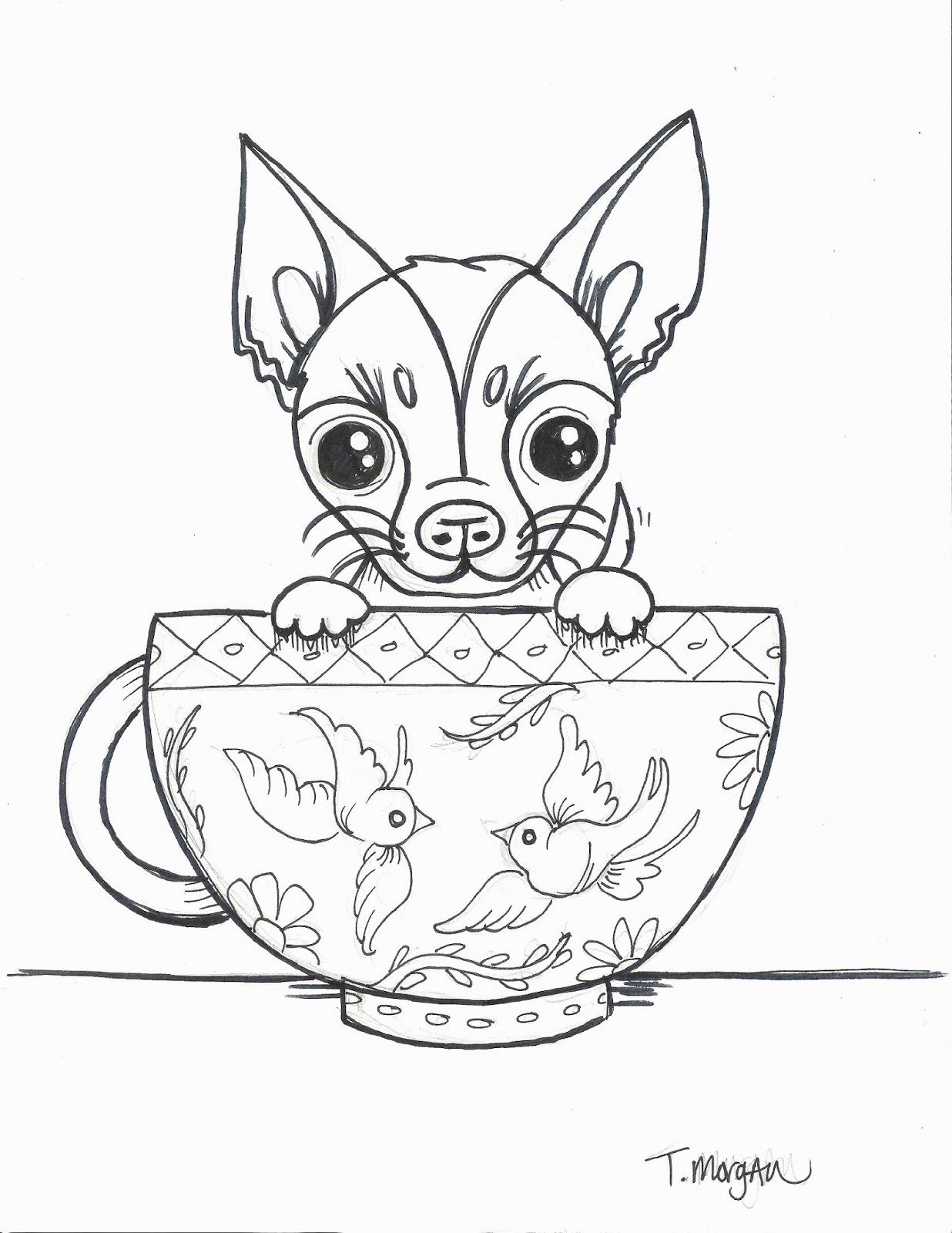 The Lost Sock Teacup Chihuahua