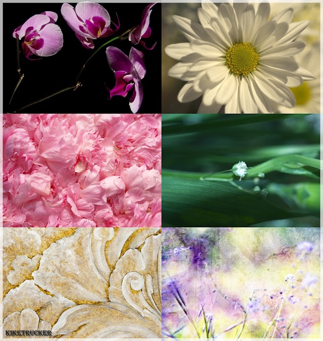 Fondos florales HD - Pack 3