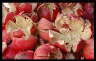 Amazing Health Benefits of Pomegranate Peel
