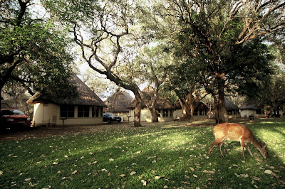 Kruger National Park