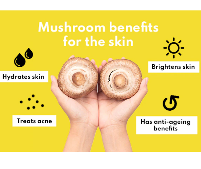 Surprising Benefits of Mushrooms | Medicinal & Edible mushrooms | Biobritte mushrooms 