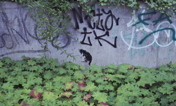 Graffiti: rat, Arnhem