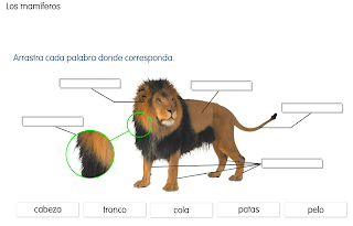 http://primerodecarlos.com/SEGUNDO_PRIMARIA/SANTILLANA/Libro_Media_Santillana_c_del_medio_segundo/data/ES/RECURSOS/actividades/04/04/010404.swf