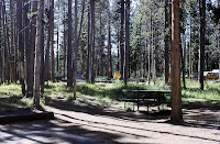 Bridge Bay Campground2