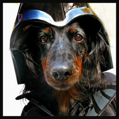 star wars dogs