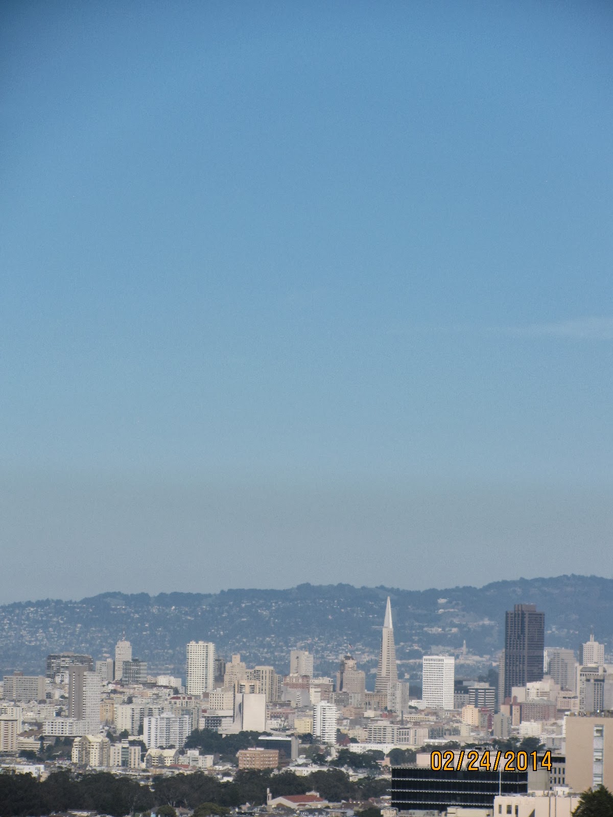 Grand View Park- Close Up of Downtown and Transamerica Building