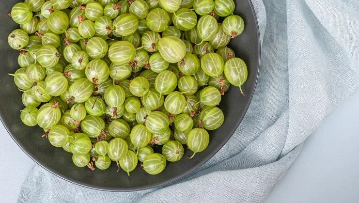 6 Promising Benefits of Drinking Amla Juice