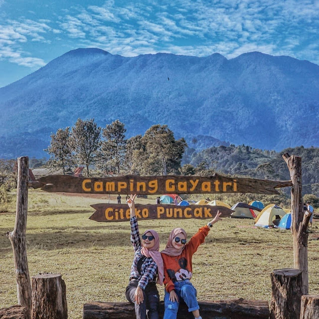 Lokasi dan Harga Tiket Masuk Camping Gayatri Citeko Puncak Bogor