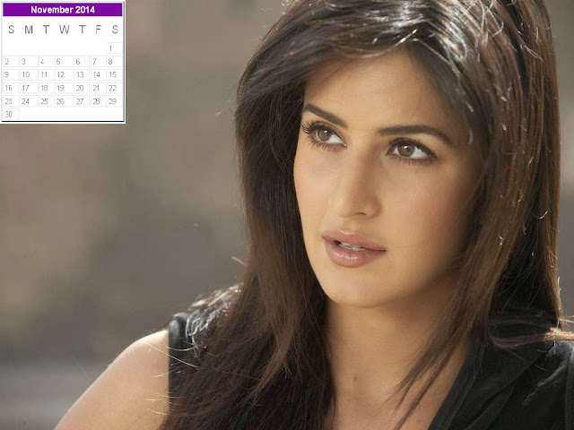 Katrina Kaif Calendar 2014