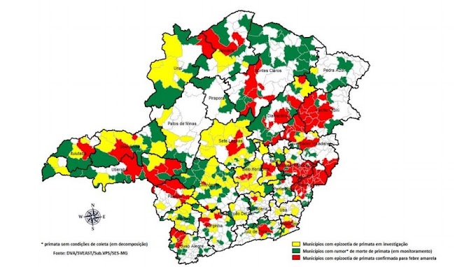 MG : cidades com rumores de epizootias,em investigaçao e confirmadas para Febre Amarela