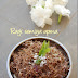 Ragi semiya upma