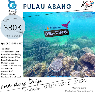 Pengalaman Snorkelling Pulau Abang dengan Wisata Galang Bahari Tour Travel 0812-6711-1161