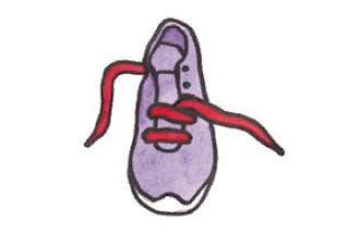 tying shoelaces