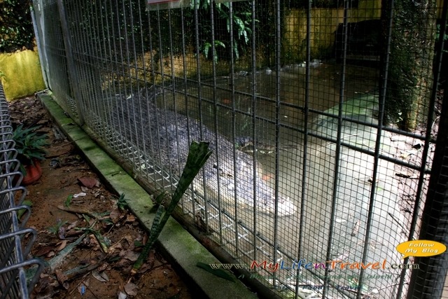 Langkawi Wildlife Park