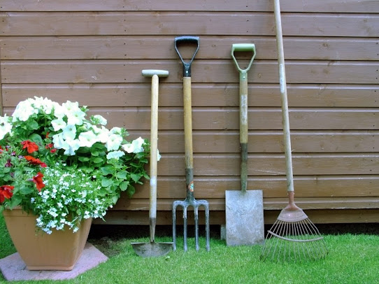 Basic Gardening Tools You Will Need for Easy Gardening