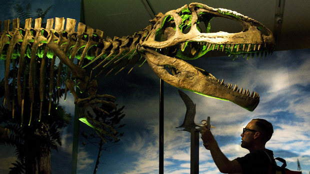 World's 'most unusual dinosaurs' to go on display in Toronto