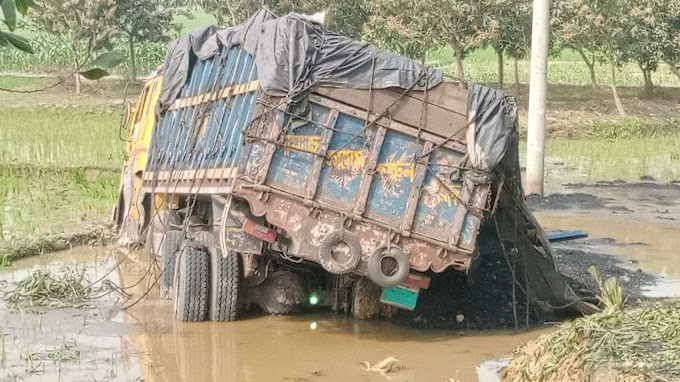 বিরামপুরে সদ্য আবাদকৃত ধানের জমিতে কয়লা ভর্তি ট্রাক 
