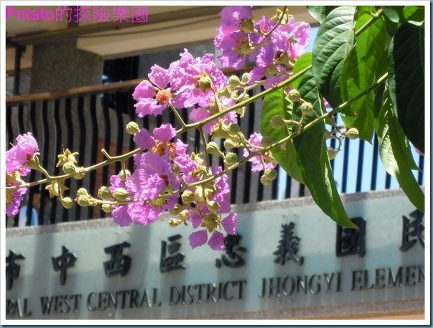 DSCN0902
