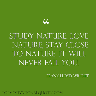 Study nature, love nature, stay close to nature. It will never fail you. Frank Lloyd Wright- short positive quote with image