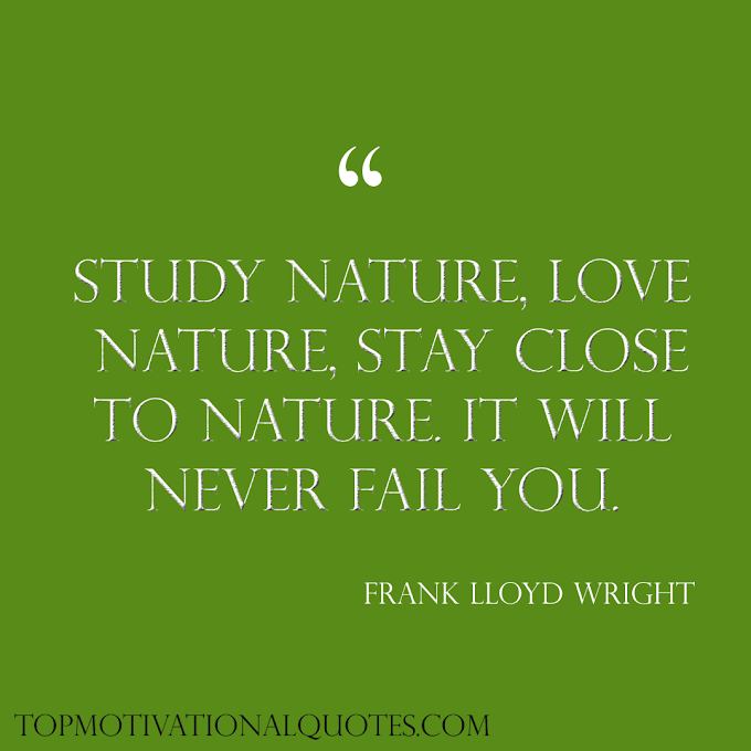  Study Nature By Frank Lloyd Wright (Short Positive Quote )