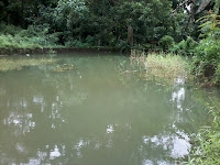 Kampung Halaman-Ku: Refresing di Akhir Pekan Sambil Memancing Ikan Didesa Anrang Kab. Bulukumba