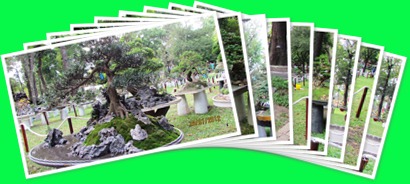 View album