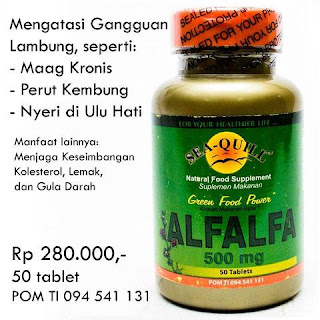 Obat Herbal Penyakit Lambung