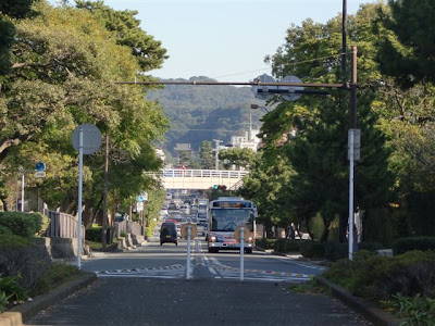  若宮大路