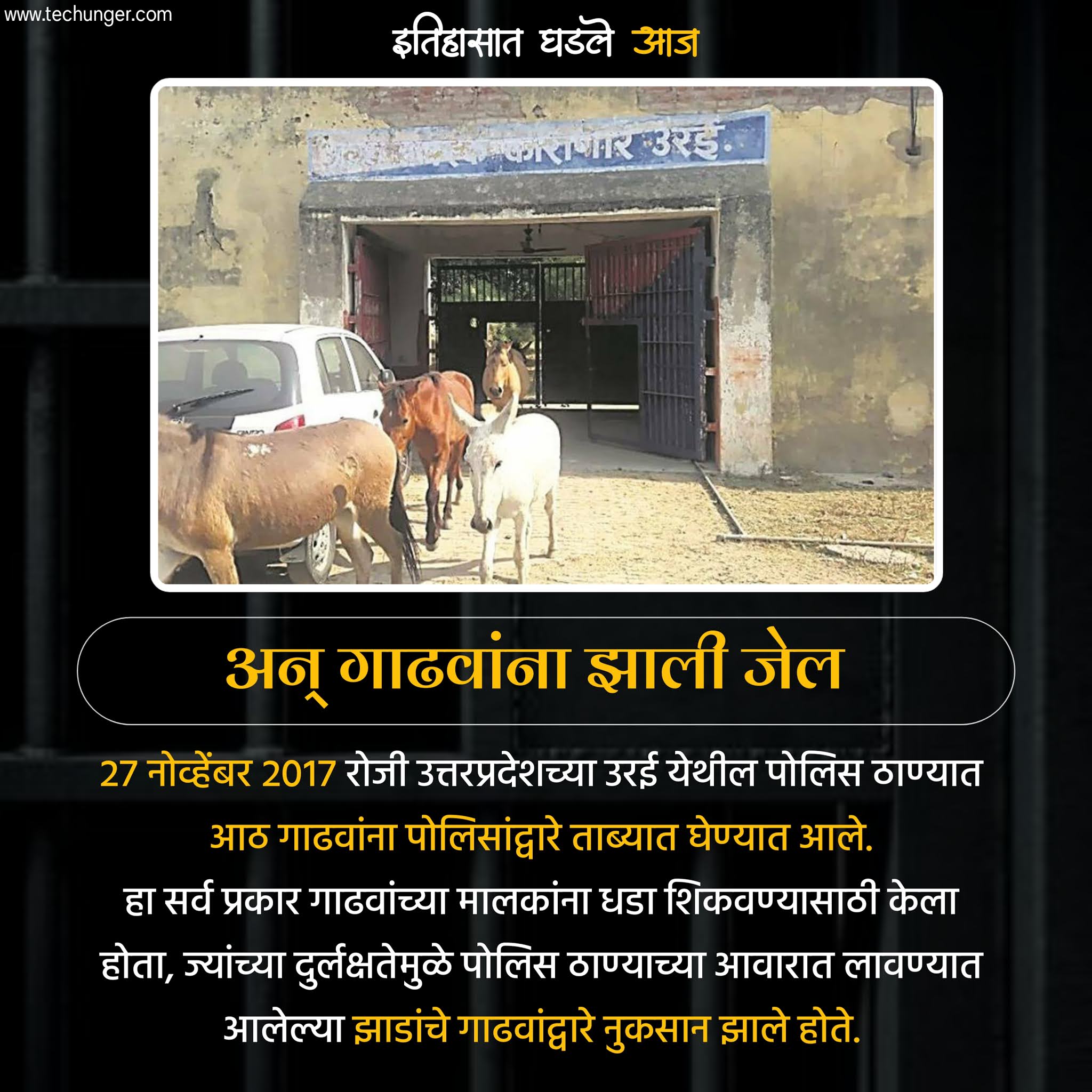 २७ नोव्हेंबर २०१७ रोजी उत्तरप्रदेशच्या उरई येथील पोलिस ठाण्यात आठ गाढवांना पोलिसांद्वारे ताब्यात घेण्यात आले. हा सर्व प्रकार गाढवांच्या मालकांना धडा शिकवण्यासाठी केला होता, ज्यांच्या दुर्लक्षतेमुळे पोलिस ठाण्याच्या आवारात लावण्यात आलेल्या झाडांचे गाढवांद्वारे नुकसान झाले होते..