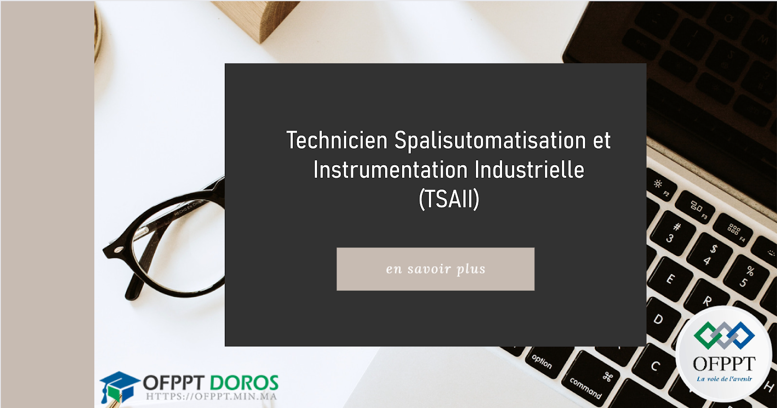 Technicien Spécialisé en Automatisation et Instrumentation Industrielle (TSAII)