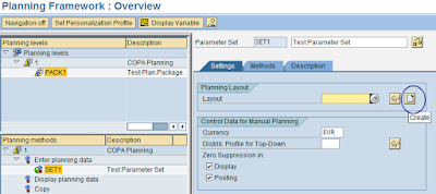 COPA Planning, SAP FICO