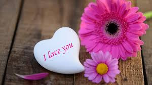 latest hd I love you images photos wallpaper for free download  23
