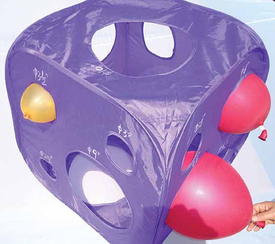 Balloon Sizer1