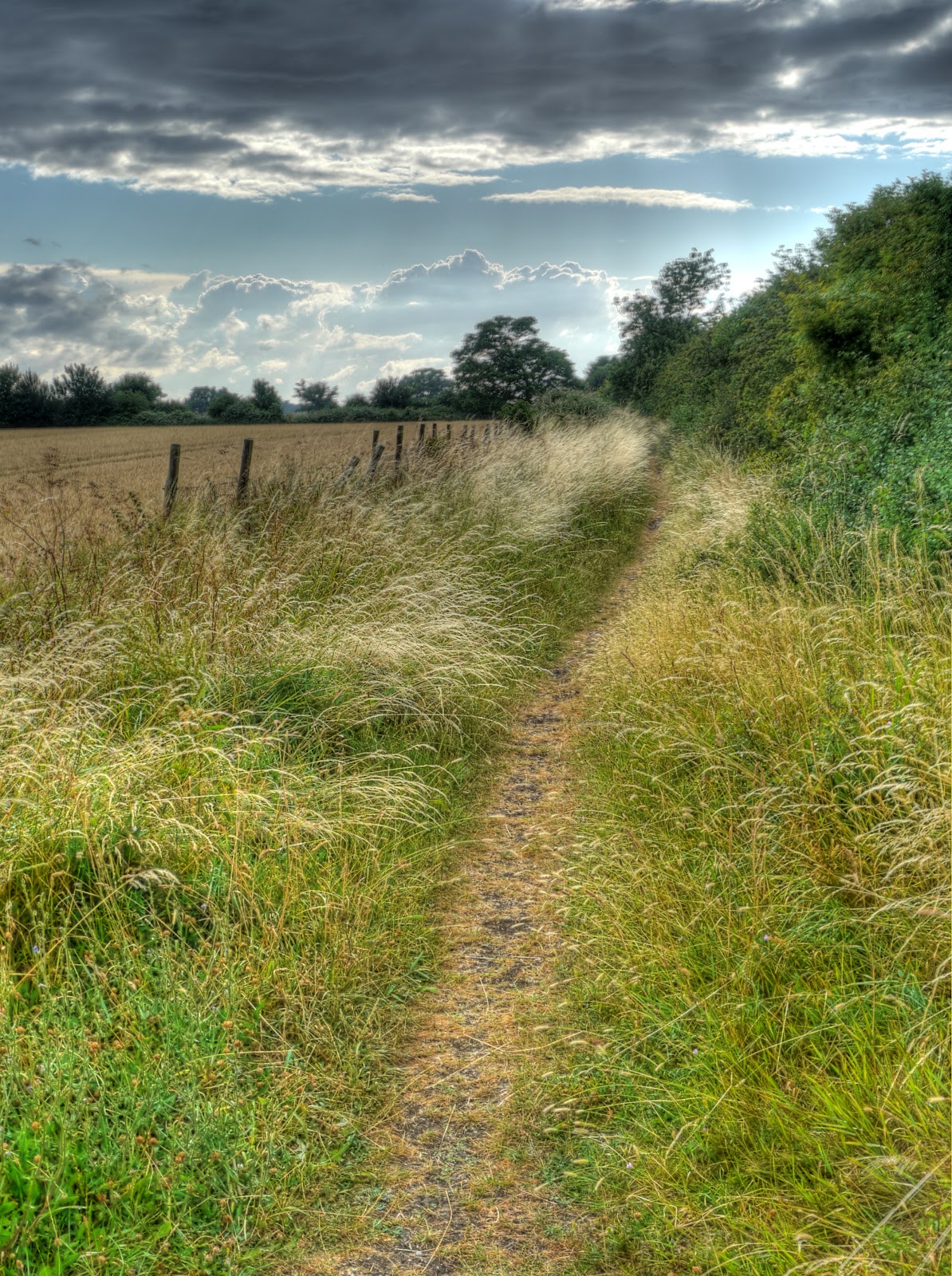 P1140524_18_19_20_21_22_23_tonemapped.jpg