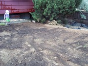new grass (7)