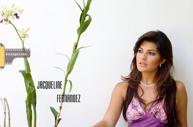  Jacqueline Fernandez Hot-Sexy Pictures Wallpaper 