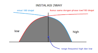 polaritas speaker