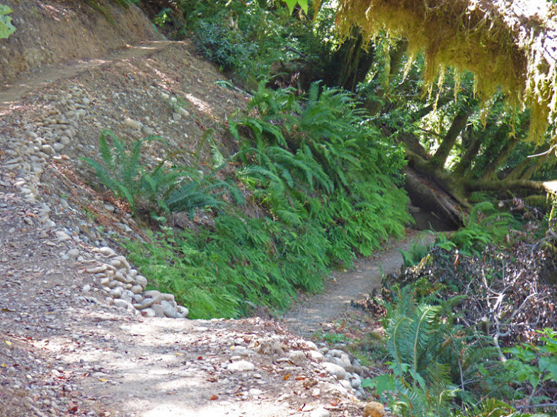 Riverview Trail, Loeb State Park