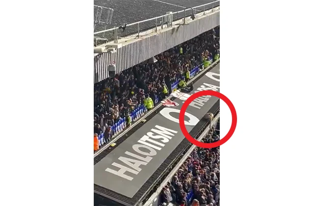 Soccer fan falls from stand during wild goal celebrations