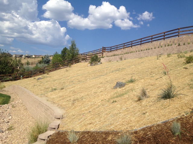 Arvada Landscaping