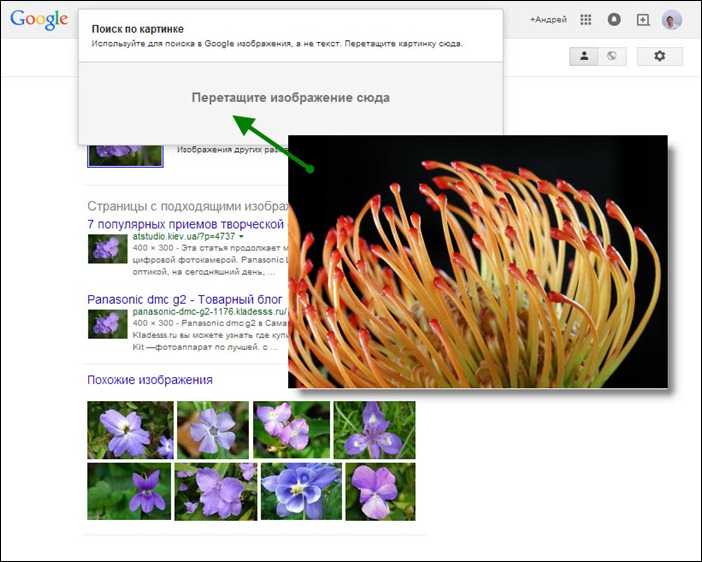 Google-search-by-image-screenshot