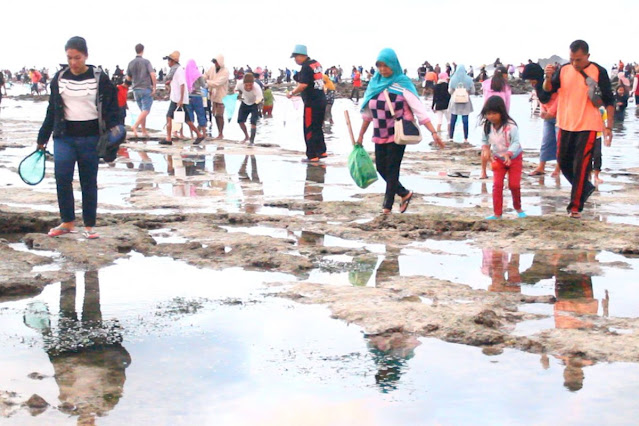 Festival Bau Nyale: Tradisi yang Bukan Sekadar Wisata Festival Bau Nyale: Tradisi yang Bukan Sekadar Wisata