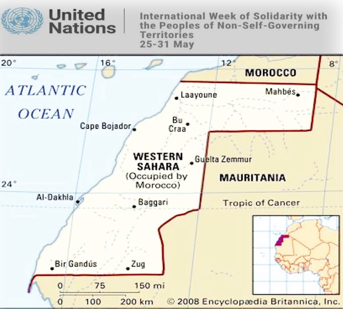 التنسيقية الأوروبية للتضامن مع الشعب الصحراوي تدعو الأمم المتحدة إلى تنشيط أدواتها لإنهاء الإحتلال من الصحراء الغربية.