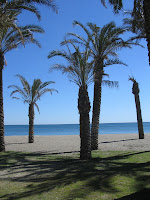 Torremolinos, palm trees