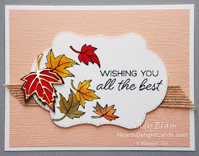 Heart's Delight Cards, Blended Seasons, Bonus Days Promo, All Occasion Card, Stampin' Up!