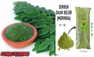 Manfaat daun kelor