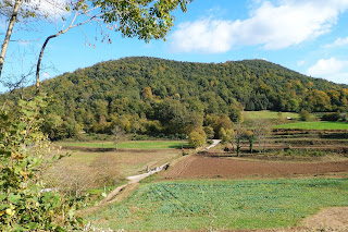 Excelente imagen del camino al Volcán Santa Margarita en Olot-Santa Pau. Girona