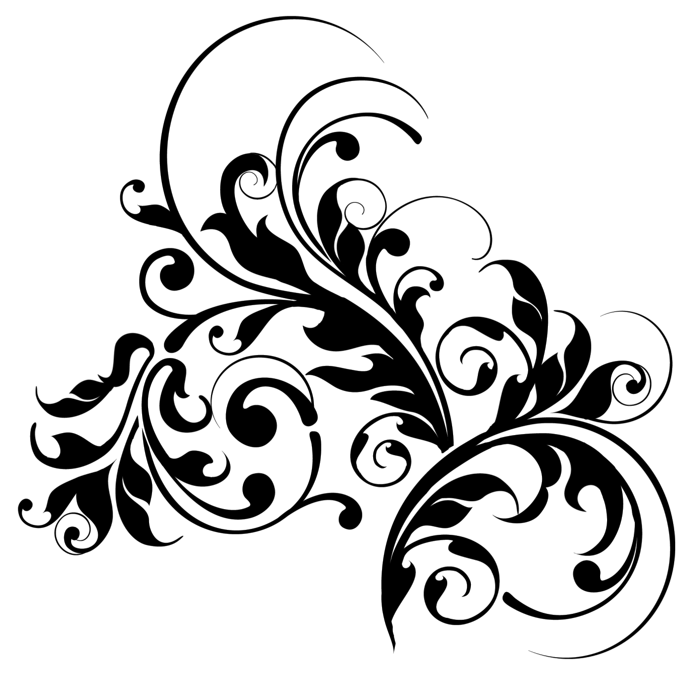 Gambar Bunga  Floral Pattern  Transparent Fauzi Blog