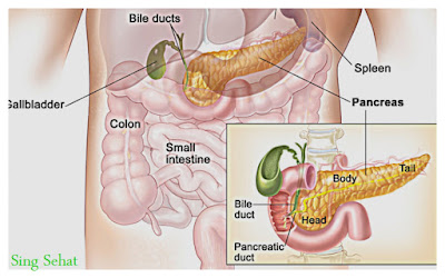 Membuat Obat Diabetes Alami Dengan Memanfaatkan Buah Pir Begini Membuat Obat Diabetes Alami Dengan Memanfaatkan Buah Pir | Gejala Diabetes