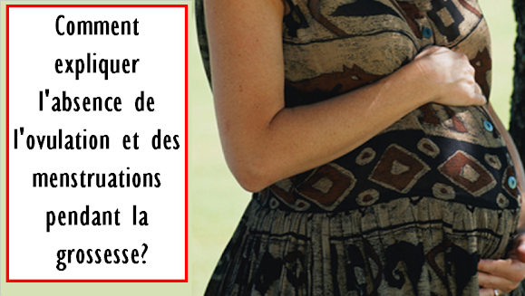 Grossesse, ovulation, menstruations
